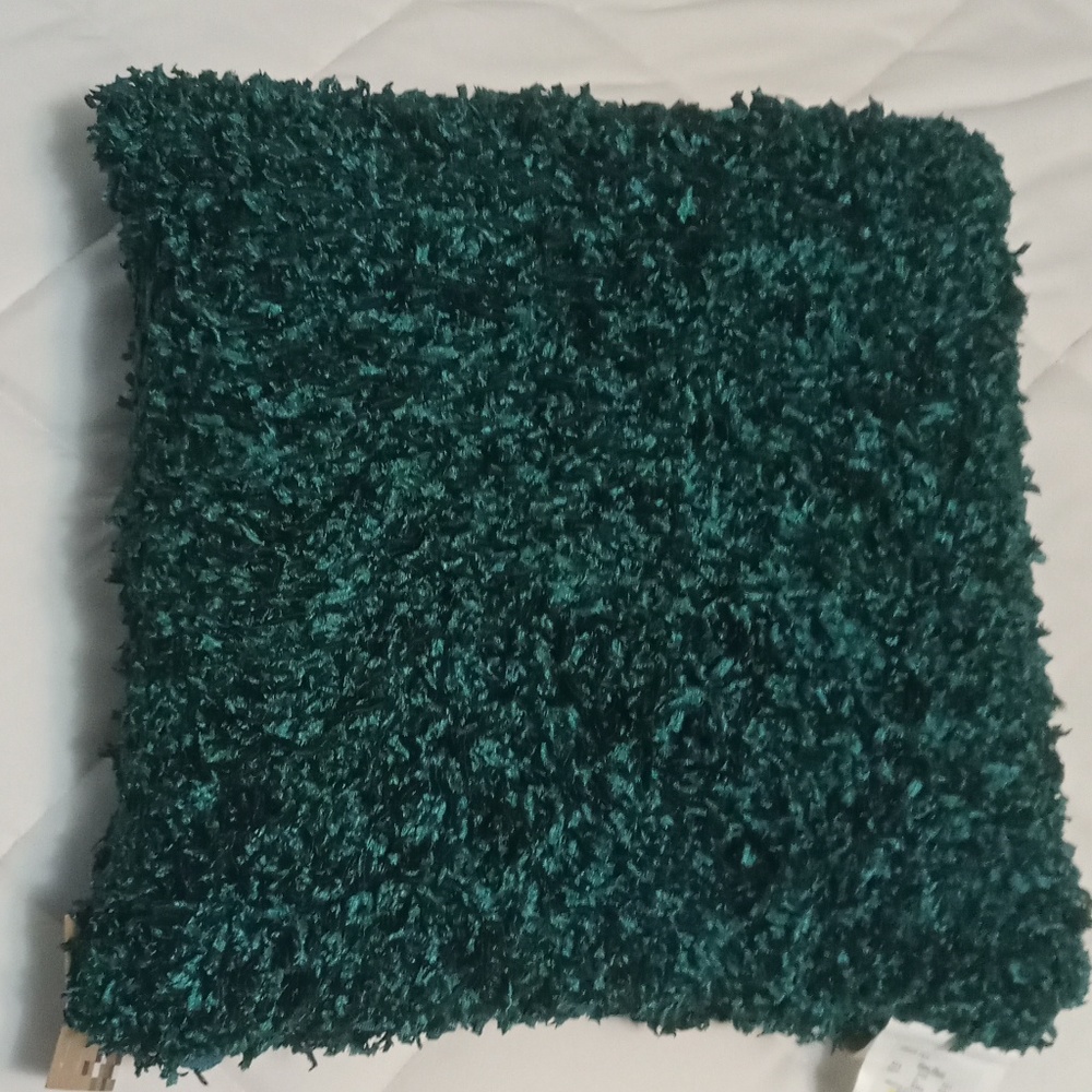Teal pillow